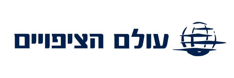 עולם הציפויים